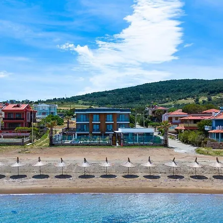 Leone Cunda Edition *