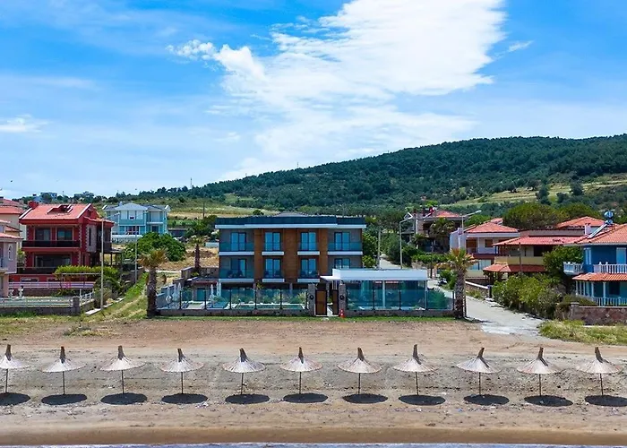 Leone Cunda Edition *